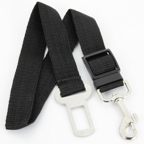 Auto sicherheitsgurt hund - auto,