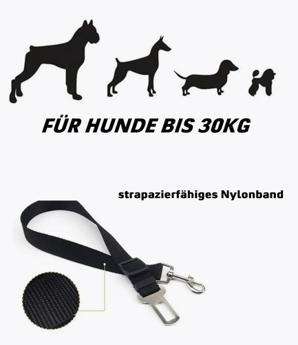 105948 verstellbar fahrzeug - verstellbar,